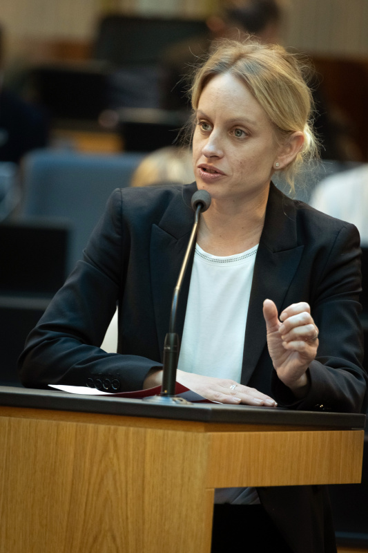 Nationalratsabgeordnete Michaela Schmidt (SPÖ) am Redner:innenpult
