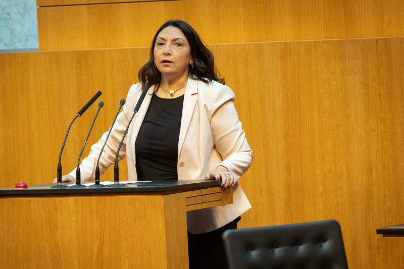 Nationalratsabgeordnete Selma Yildirim (SPÖ) am Redner:innenpult