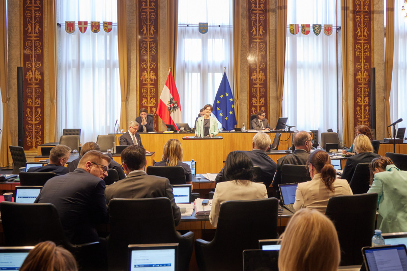 Am Redner:innenpult Bundesrätin Barbara Prügl (ÖVP)