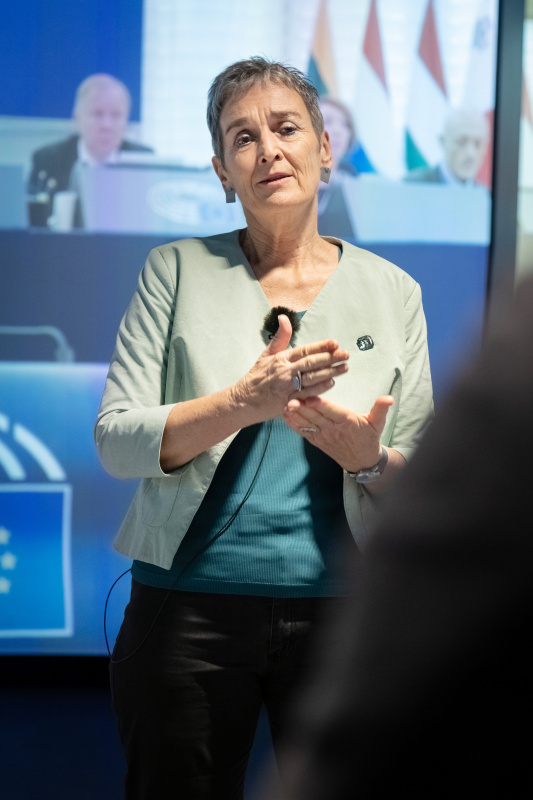 Vizepräsidentin a.D. des Europäischen Parlaments Ulrike Lunacek