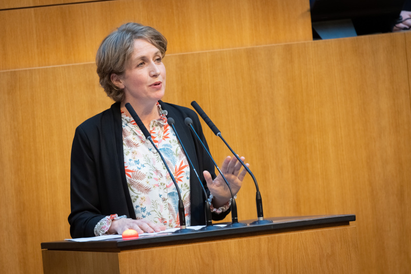 Am Redner:innenpult Nationalratsabgeordnete Stephanie Krisper (NEOS)