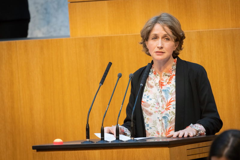 Am Redner:innenpult Nationalratsabgeordnete Stephanie Krisper (NEOS)