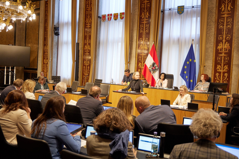 Am Reder:innenpult Bundesrätin Daniela Gruber-Pruner (SPÖ)