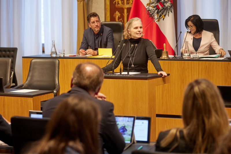 Am Reder:innenpult Bundesrätin Daniela Gruber-Pruner (SPÖ)