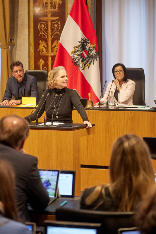 Am Reder:innenpult Bundesrätin Daniela Gruber-Pruner (SPÖ)