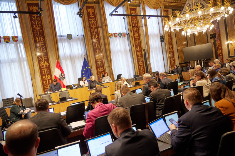 Am Reder:innenpult Bundesrätin Daniela Gruber-Pruner (SPÖ)