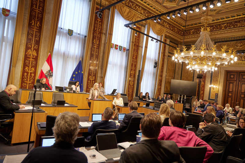 Am Reder:innenpult Bundesrätin Doris Hahn (SPÖ)