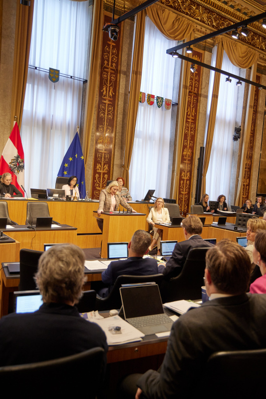 Am Reder:innenpult Bundesrätin Doris Hahn (SPÖ)