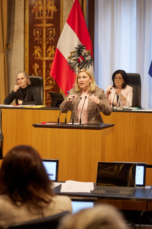 Am Reder:innenpult Bundesrätin Doris Hahn (SPÖ)