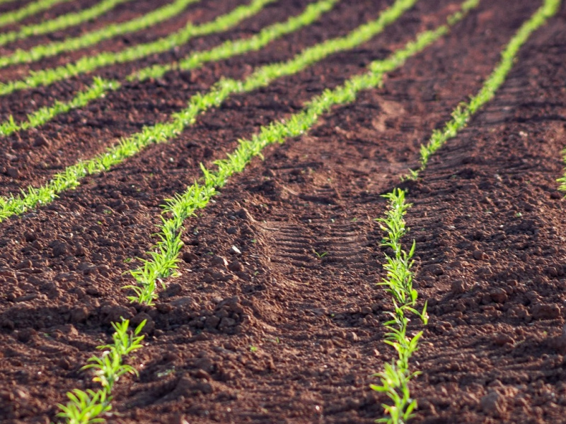 Zukunftsthema: Resiliente Düngerversorgung - Visualisierung