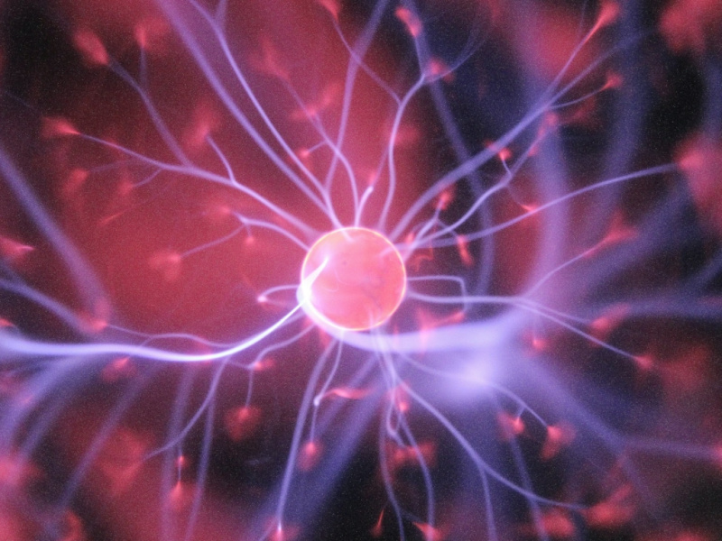 Zukunftsthema: Biocomputer - Visualisierung