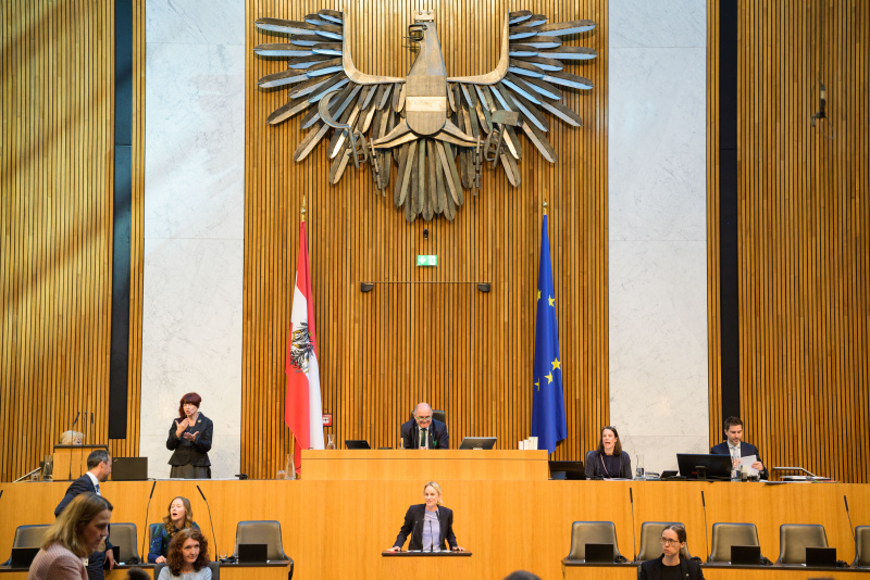 Am Redner:innenpult: Nationalratsabgeordnete Michaela Schmidt (SPÖ)