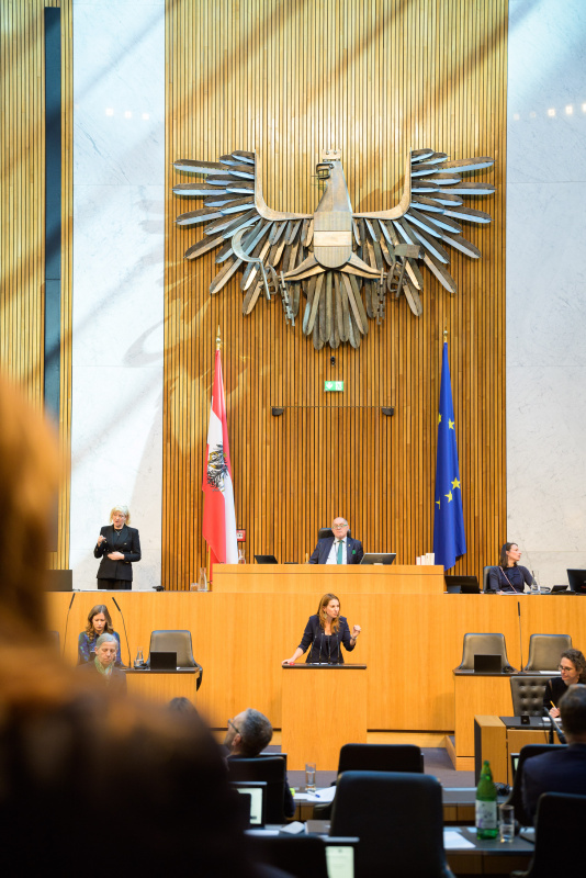 Am Redner:innenpult: Nationalratsabgeordnete Carmen Jeitler-Cincelli (ÖVP)