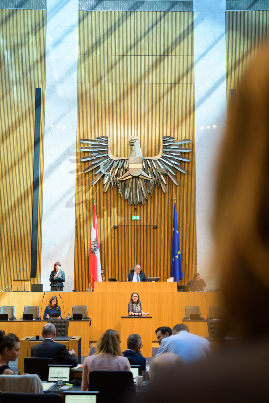 Am Redner:innenpult:  Julia Elisabeth Herr (SPÖ)