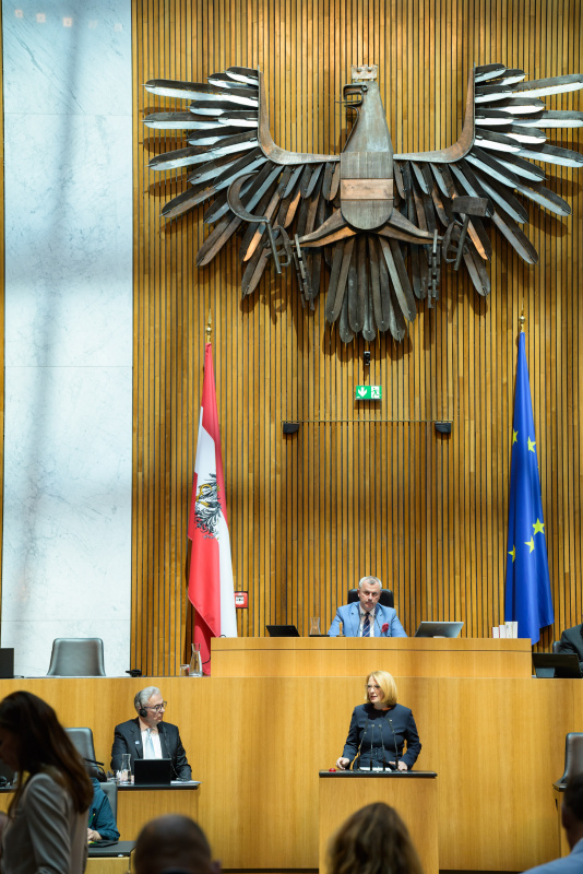 Am Rednerpult: Zweite Nationalratspräsidentin Doris Bures (SPÖ)