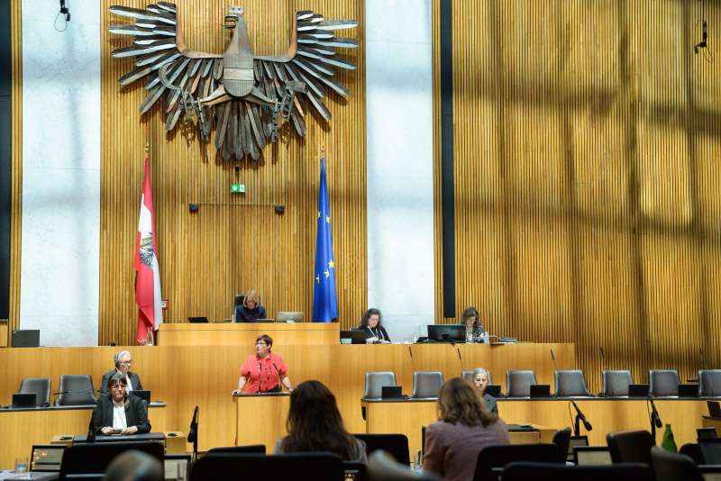 Am Rednerpult: Nationalratsabgeordnete Petra Bayr (SPÖ)