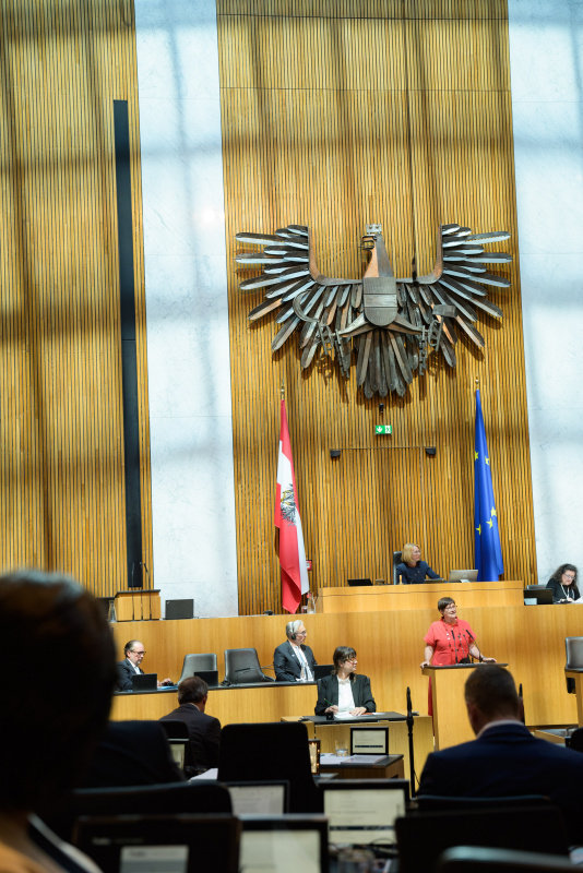 Am Rednerpult: Nationalratsabgeordnete Petra Bayr (SPÖ)