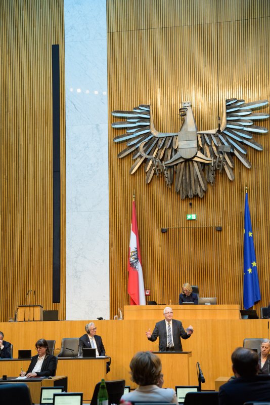 Am Rednerpult: Nationalratsabgeordneter Martin Graf (FPÖ)