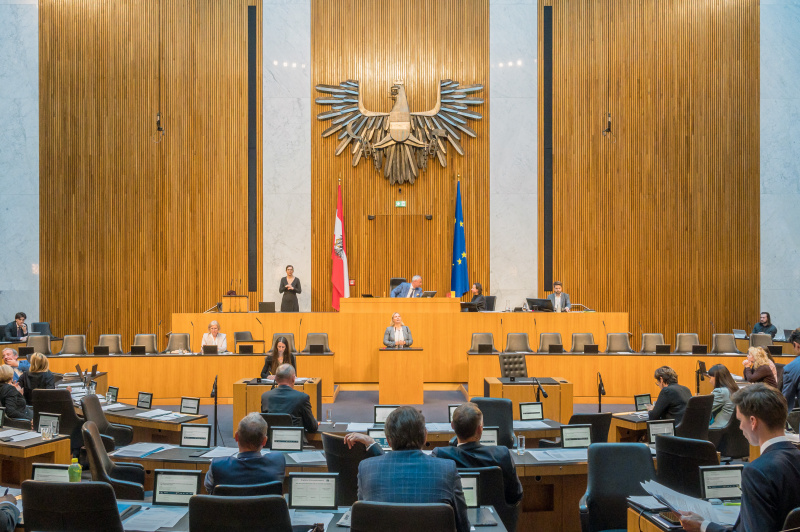 Am Redner:innenpult Nationalratsabgeordnete Martina Kaufmann