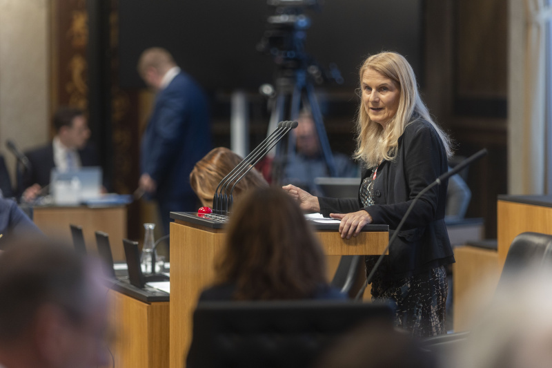 Bundesrätin Elisabeth Grossmann (SPÖ) am Redner:innenpult