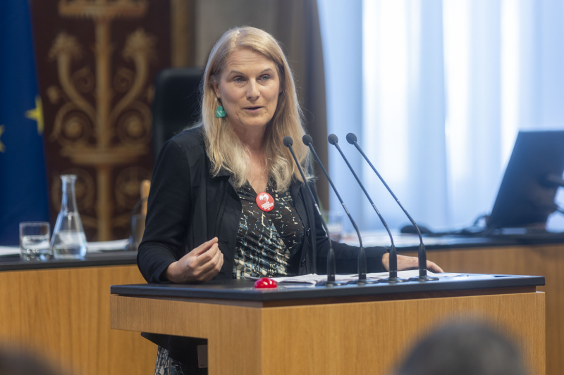 Bundesrätin Elisabeth Grossmann (SPÖ) am Redner:innenpult