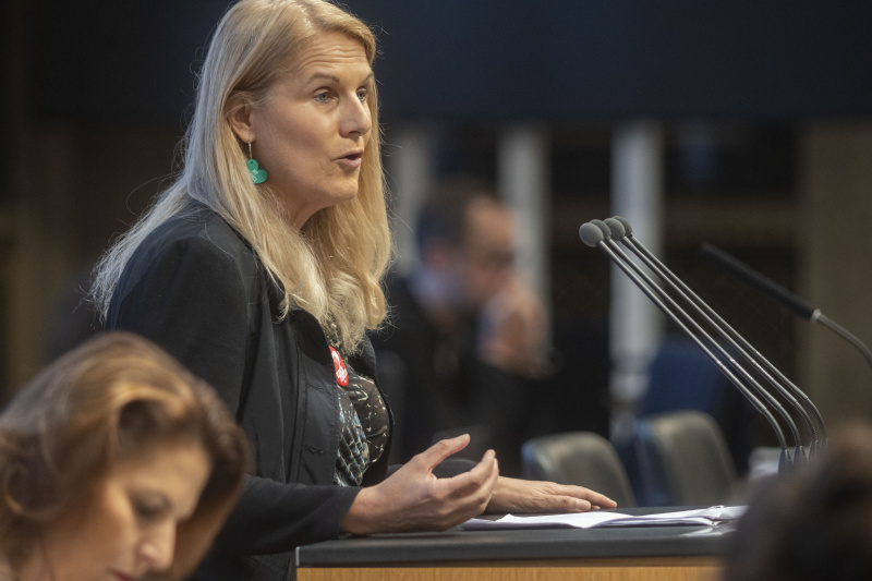 Bundesrätin Elisabeth Grossmann (SPÖ) am Redner:innenpult