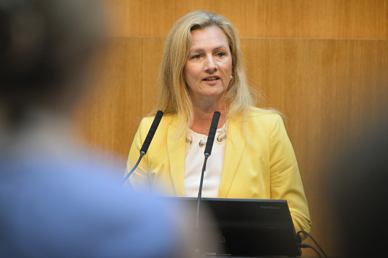 Eingangsstatements der Bereichssprecher:innen. Nationalratsabgeordnete Petra Tanzler (SPÖ)