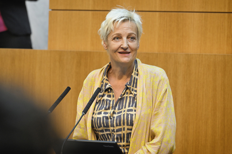 Eingangsstatements der Bereichssprecher:innen. Nationalratsabgeordnete Sibylle Hamann (GRÜNE)