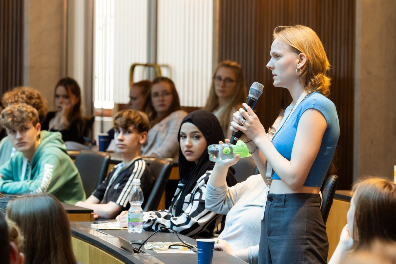 Fragestellung einer Schülerin