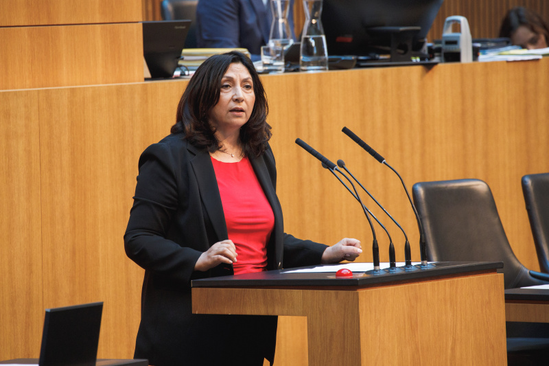Am Redner:innenpult Nationalratsabgeordnete Selma Yildirim (SPÖ)