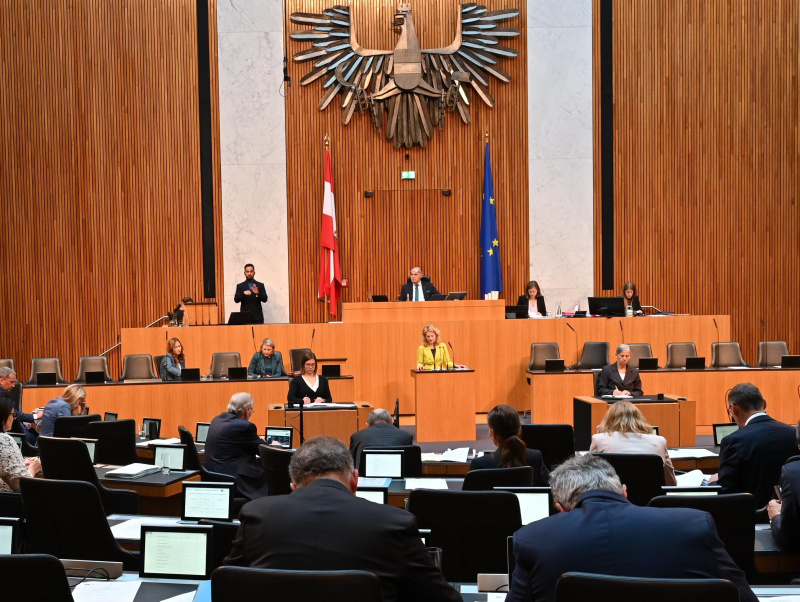 Am Redner:innenpult Nationalratsabgeordnete Eva Maria Holzleitner (SPÖ)