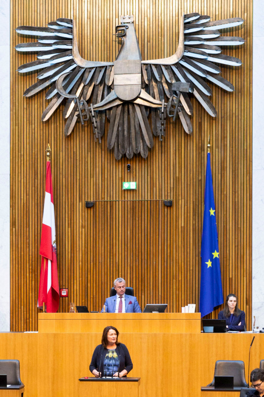 Am Redner:innenpult Nationalratsabgeordnete Petra Wimmer (SPÖ)