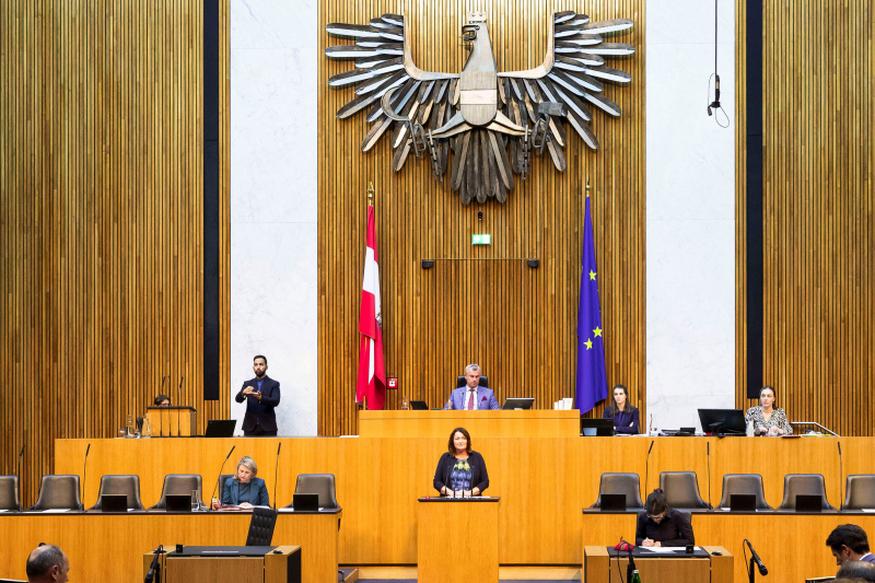 Am Redner:innenpult Nationalratsabgeordnete Petra Wimmer (SPÖ)