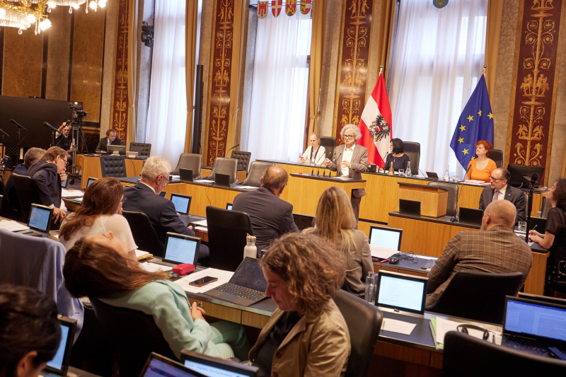 Am Redner:innenpult Bundesrat Adi Gross (GRÜNE)