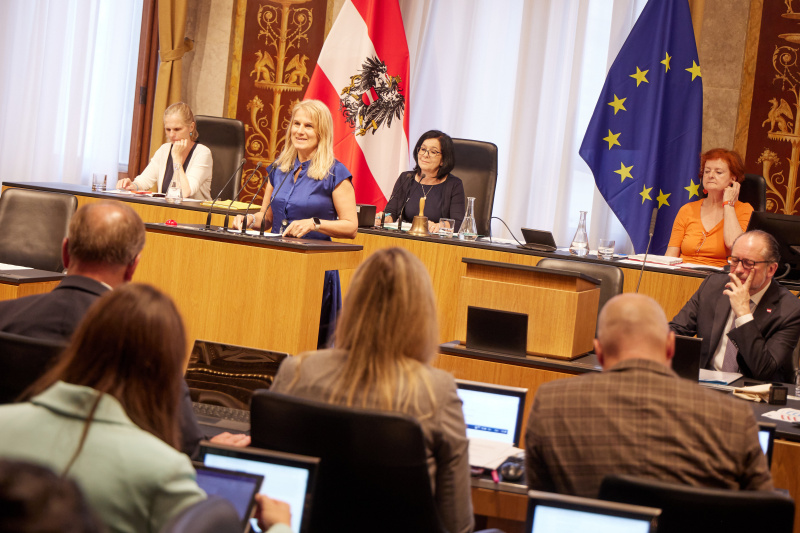 Am Redner:innenpult Bundesrätin Elisabeth Grossmann (SPÖ)