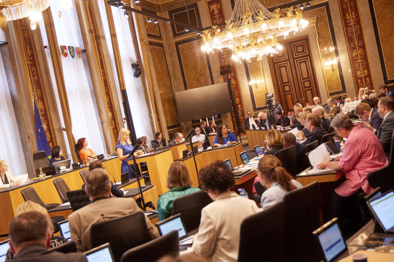 Am Redner:innenpult Bundesrätin Elisabeth Grossmann (SPÖ)