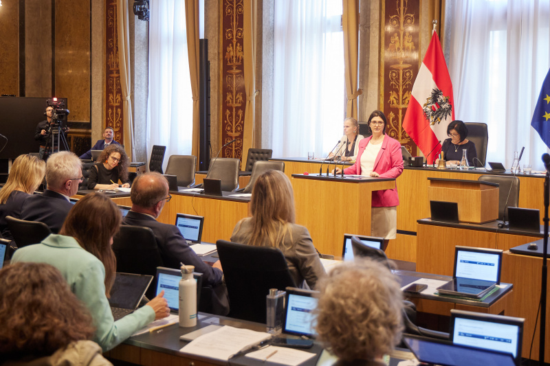 Am Redner:innenpult Bundesrätin Manuela-Anna Sumah-Vospernik (NEOS)