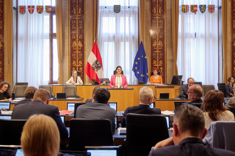 Am Redner:innenpult Bundesrätin Manuela-Anna Sumah-Vospernik (NEOS)