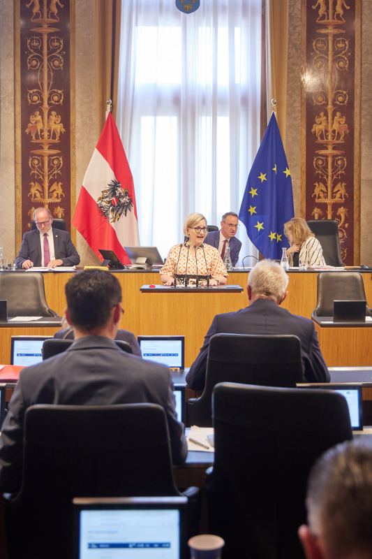 Am Redner:innenpult Bundesrätin Sandra Gerdenitsch (SPÖ)