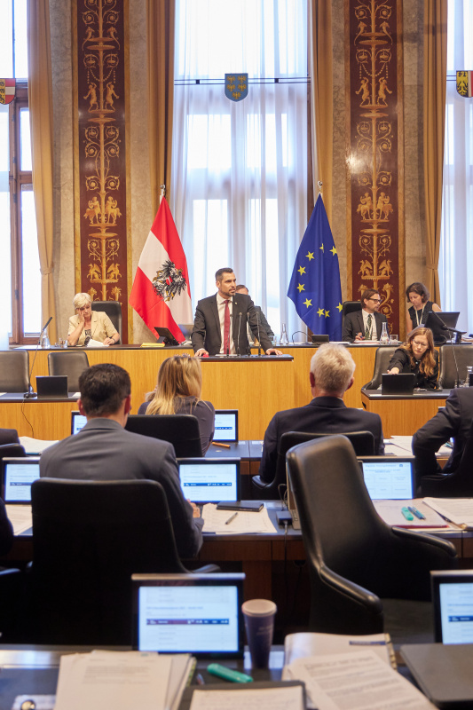 Am Redner:innenpult Bundesrat Daniel Schmid (SPÖ)