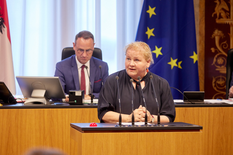 Am Redner:innenpult Vorsitzende der Bundesratsfraktion Korinna Schumann (SPÖ)