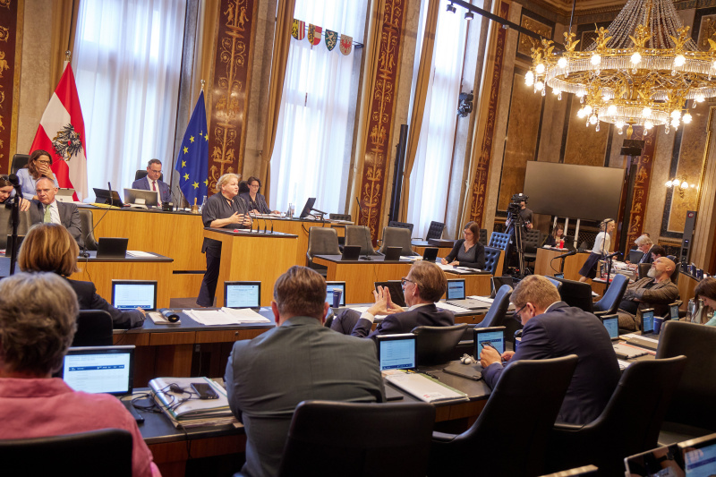 Am Redner:innenpult Vorsitzende der Bundesratsfraktion Korinna Schumann (SPÖ)