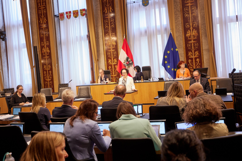 Am Redner:innenpult Bundesrätin Christine Schwarz-Fuchs (ÖVP)