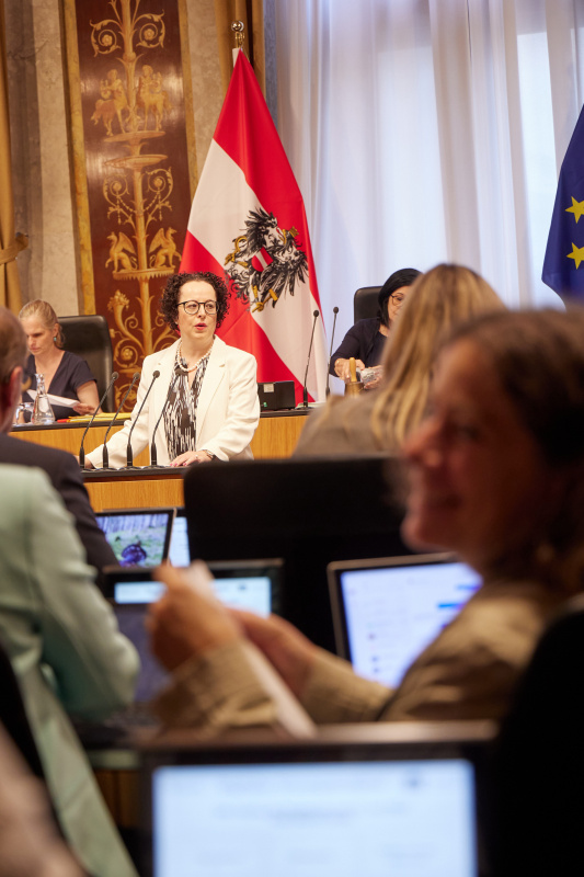 Am Redner:innenpult Bundesrätin Christine Schwarz-Fuchs (ÖVP)