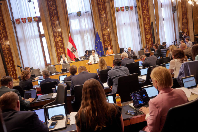 Am Redner:innenpult Bundesrätin Christine Schwarz-Fuchs (ÖVP)