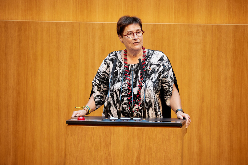 Am Redner:innenpult Nationalratsabgeordnete Petra Bayr (SPÖ)