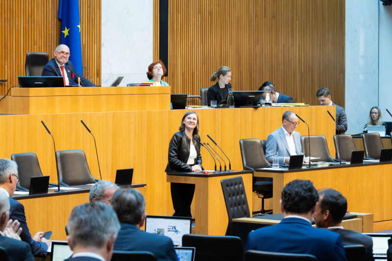 Am Redner:innenpult Nationalratsabgeordnete Katharina Werner (NEOS)