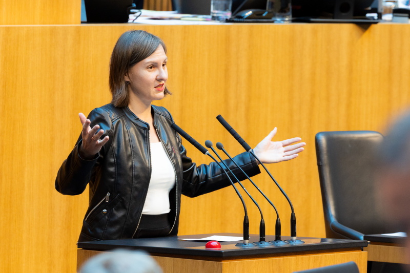 Am Redner:innenpult Nationalratsabgeordnete Katharina Werner (NEOS)