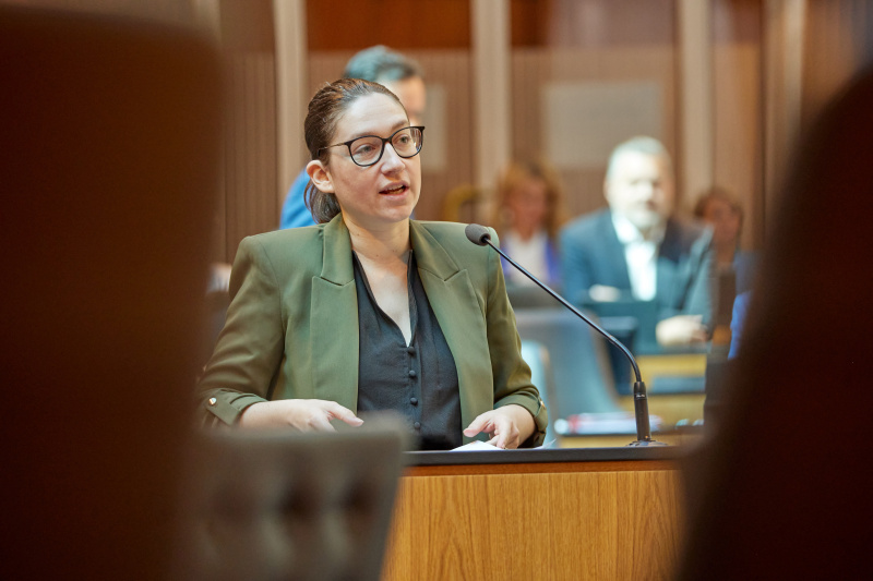 Frage von Nationalratsabgeordnete Julia Elisabeth Herr (SPÖ)