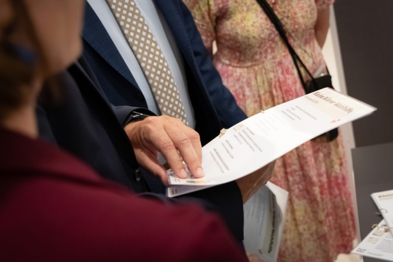 Guide zum Thema "Wählen für Menschen mit Lernschwierigkeiten"